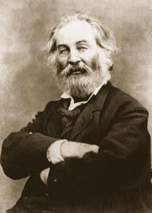 Walt Whitman by Mathew B. Brady